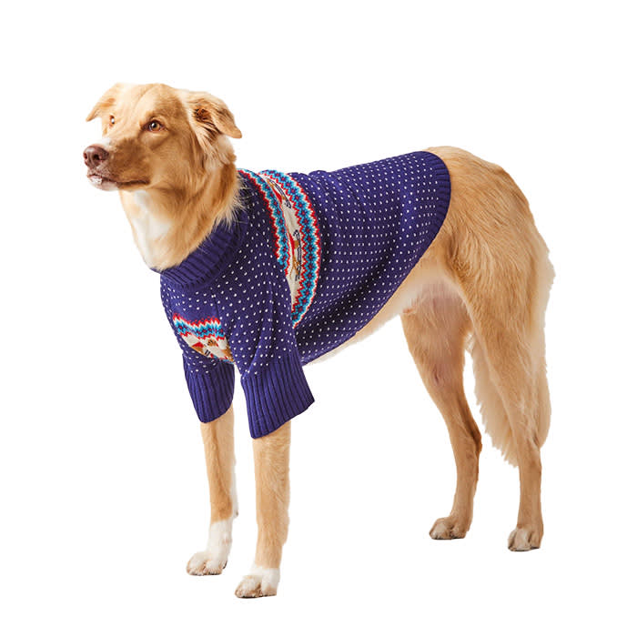 Hit the Slopes Foggy Dog sweater
