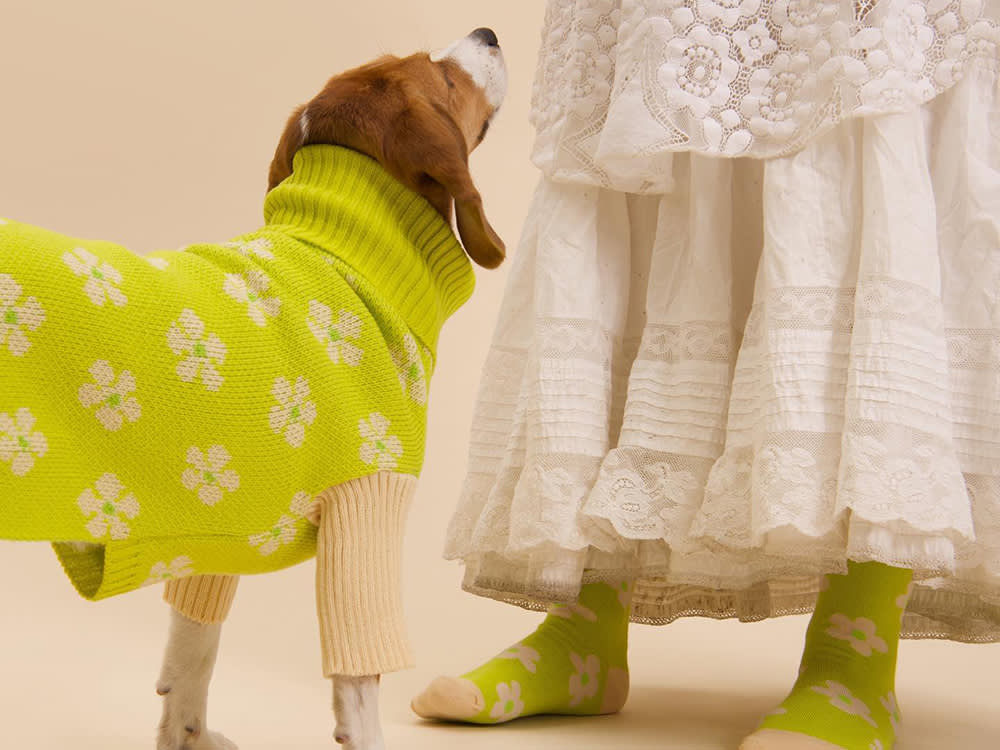 dog in green floral sweater in front of person in long white skirt and matching socks