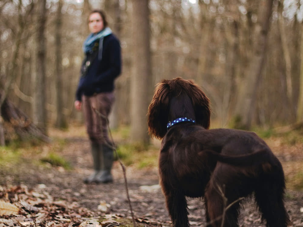 A woman trying to call her brown dog to come back while out walking.