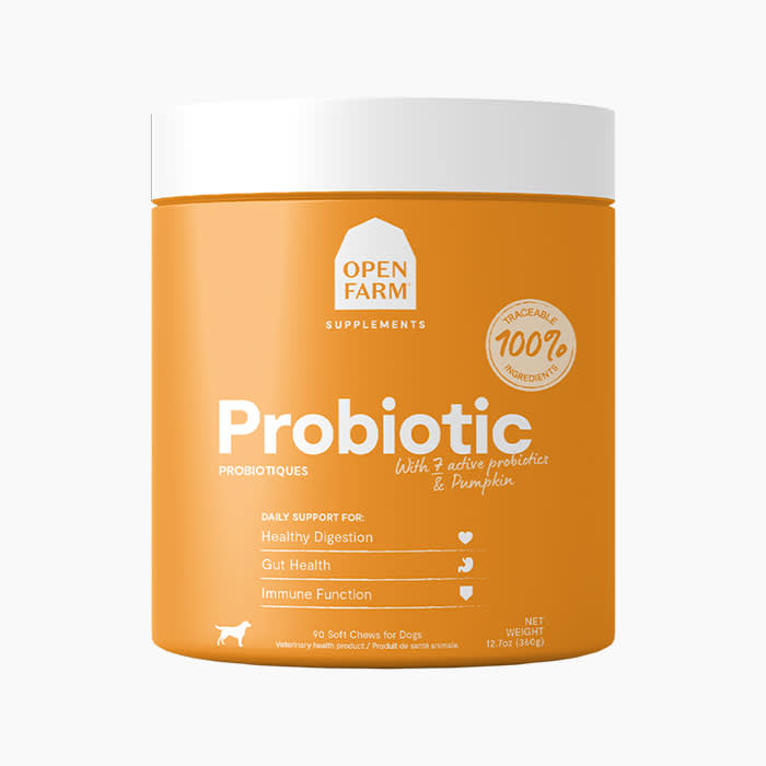 probiotics in orange tub with white lid