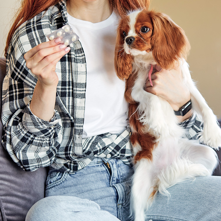 redhead holding a packet of pills with a dog on her lap