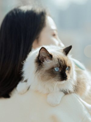 Dark-haired woman holding her ragdoll cat
