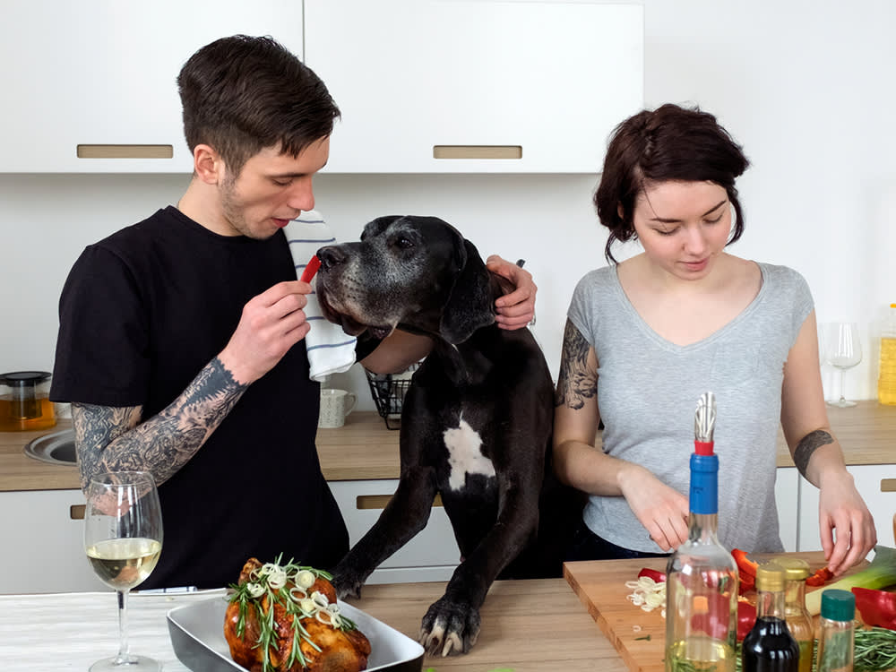 A couple cooking in the kitchen while the guy feeds part of their meal to their Great Dane dog
