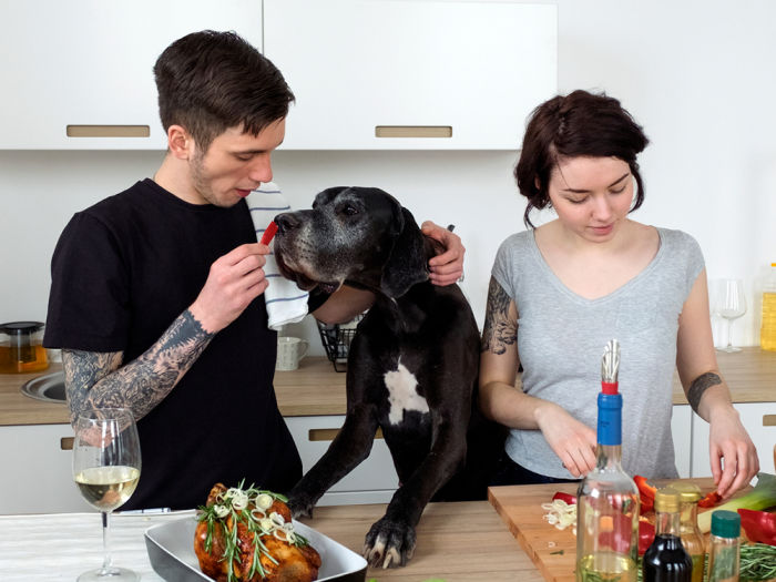 A couple cooking in the kitchen while the guy feeds part of their meal to their Great Dane dog