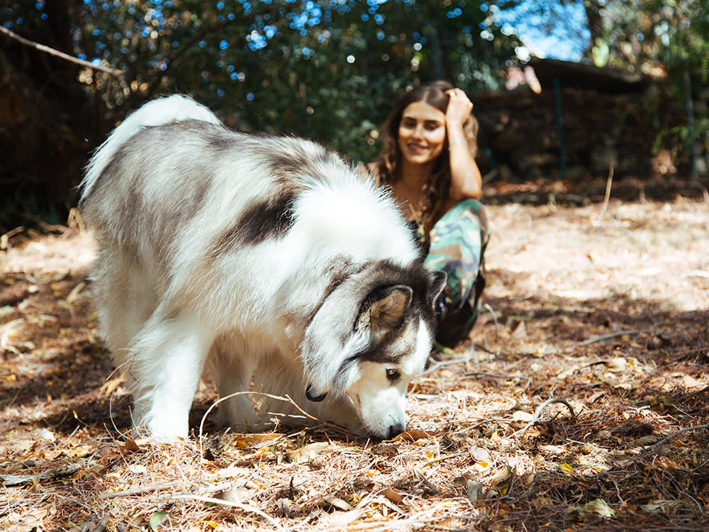 Langley Fox and her dog