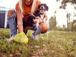 A young girl on a beautiful day in the park is holding her dog while collects its poop.