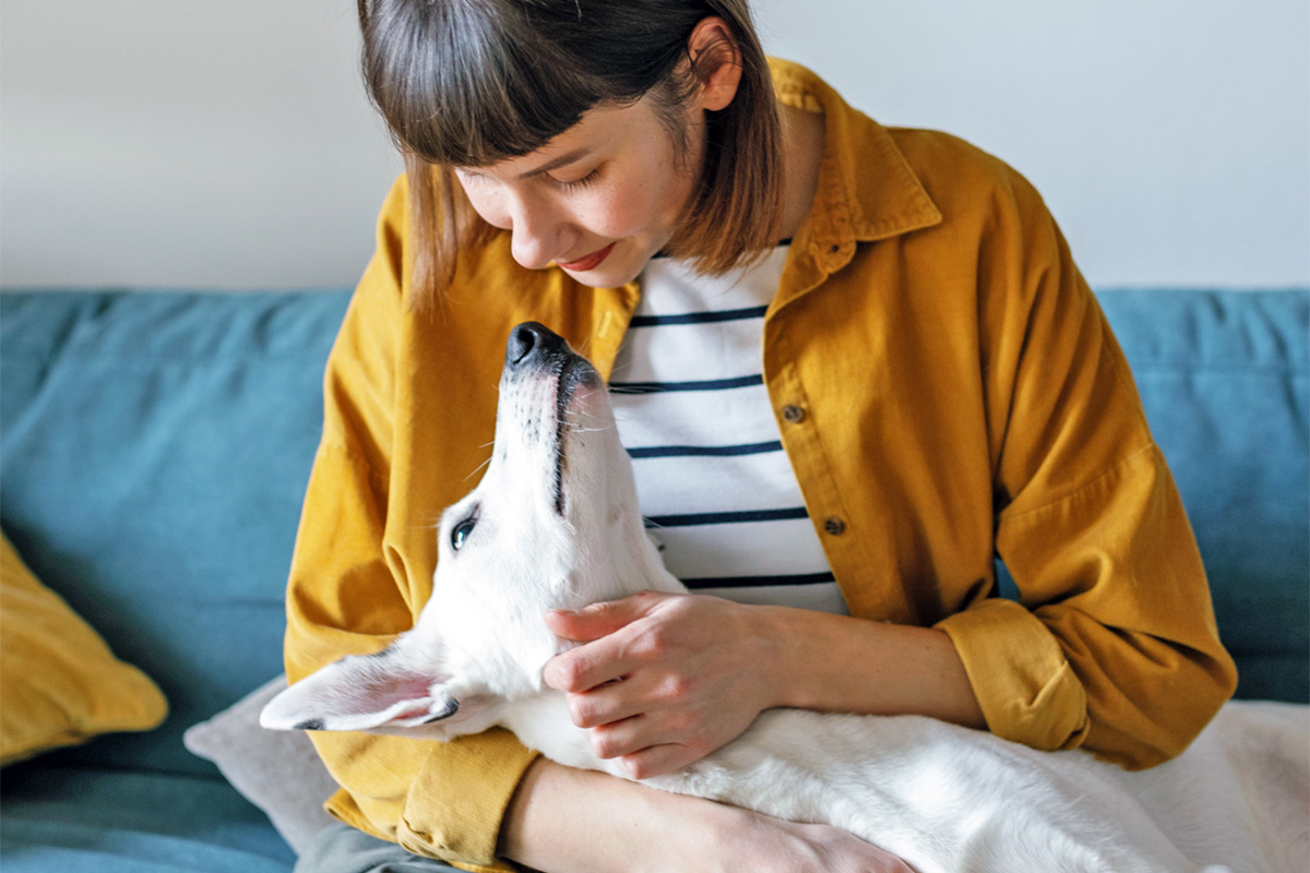 Dog looking at a person
