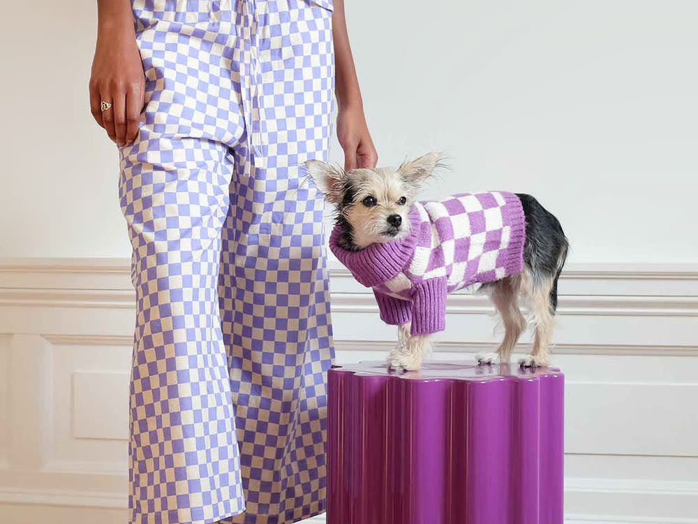 Person and dog matching in purple and white checkered clothing
