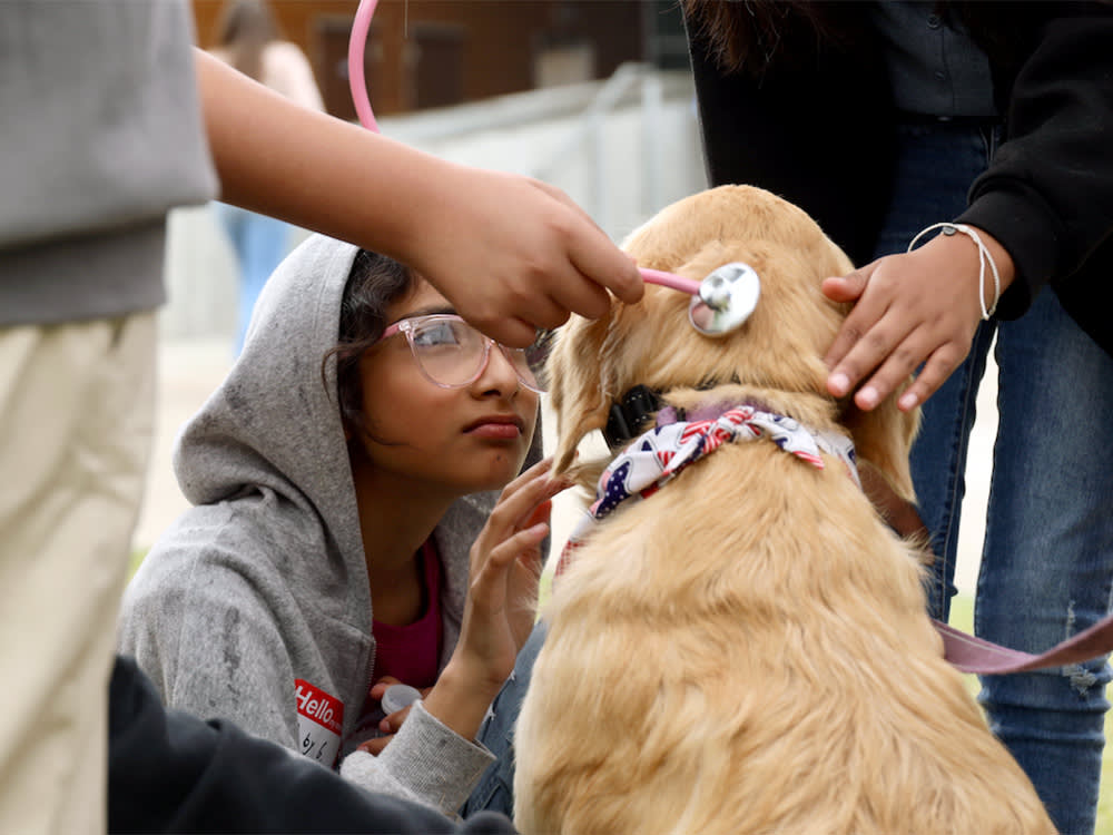 a student petting a dog