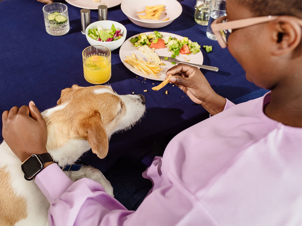 A woman feeds her dog with a piece of fries during lunch.
