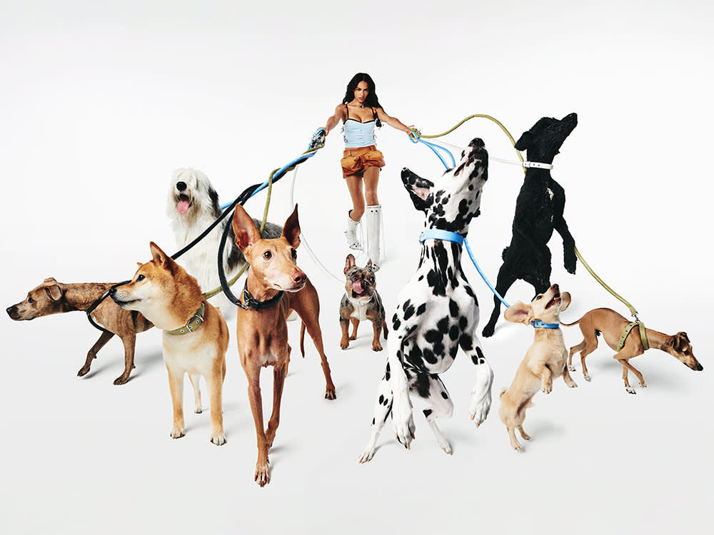 Woman holds Lunge leashes of a large pack of dogs.