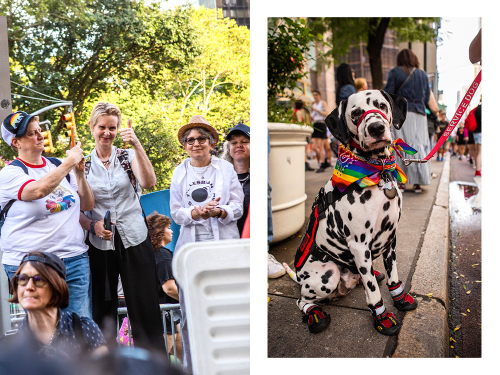 Actress Cynthia Nixon thumbs-up the camera; a service Dalmatian wearing a rainbow bandana looks at the camera 