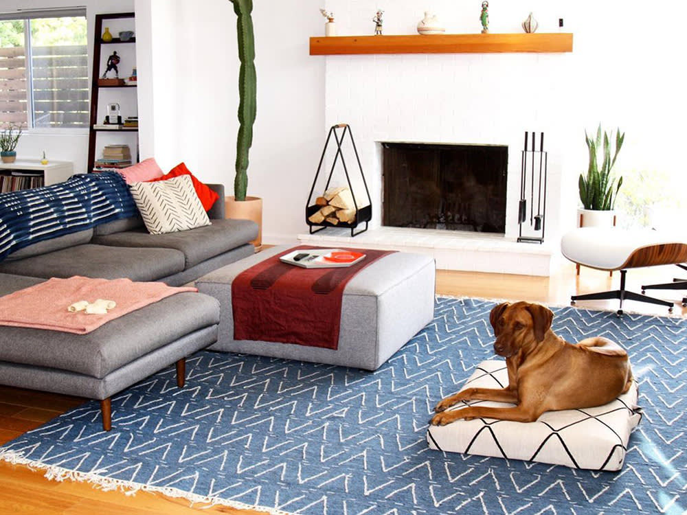 dog lounging on laylo bed in living room