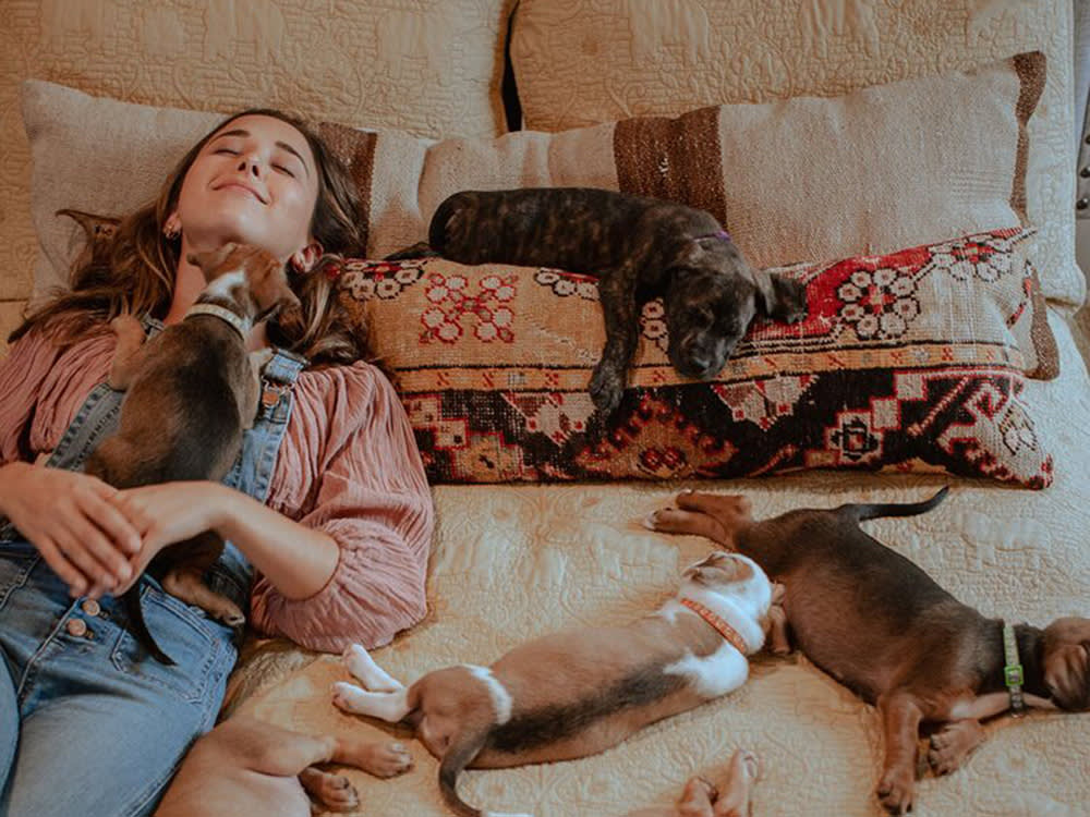 Victoria Lily Shaffer and five small dogs