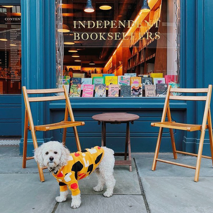 a dog outside McNally Jackson books
