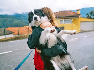 Pet parent holding dog in their arms outside.
