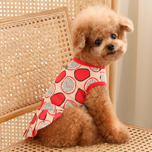 Small tan poodle mix dog wearing a bright red circle patterned sweater
