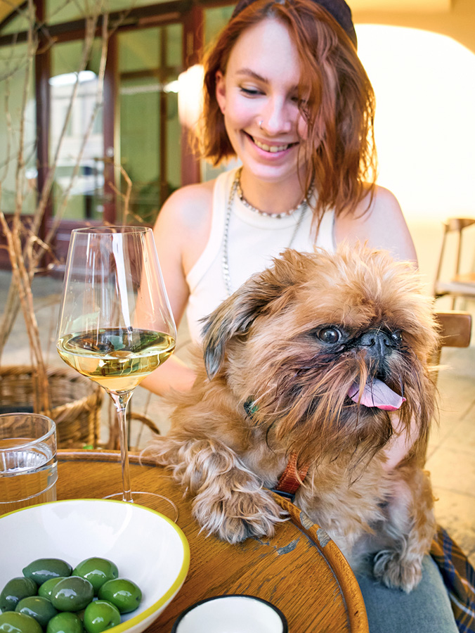 Woman at an outdoor bar with her cute small dog.