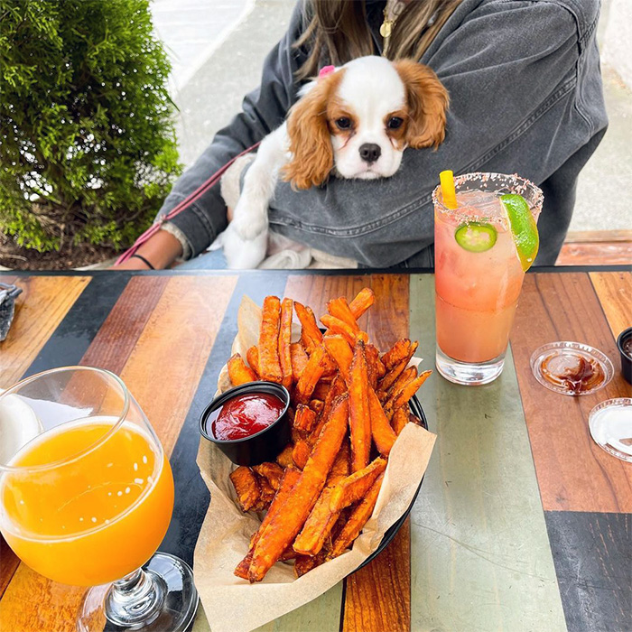 a dog at a table at Barking Dog