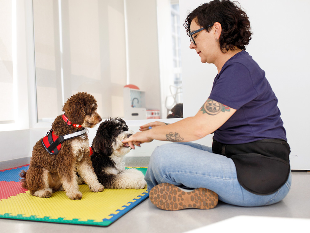 Woman training her two dogs.