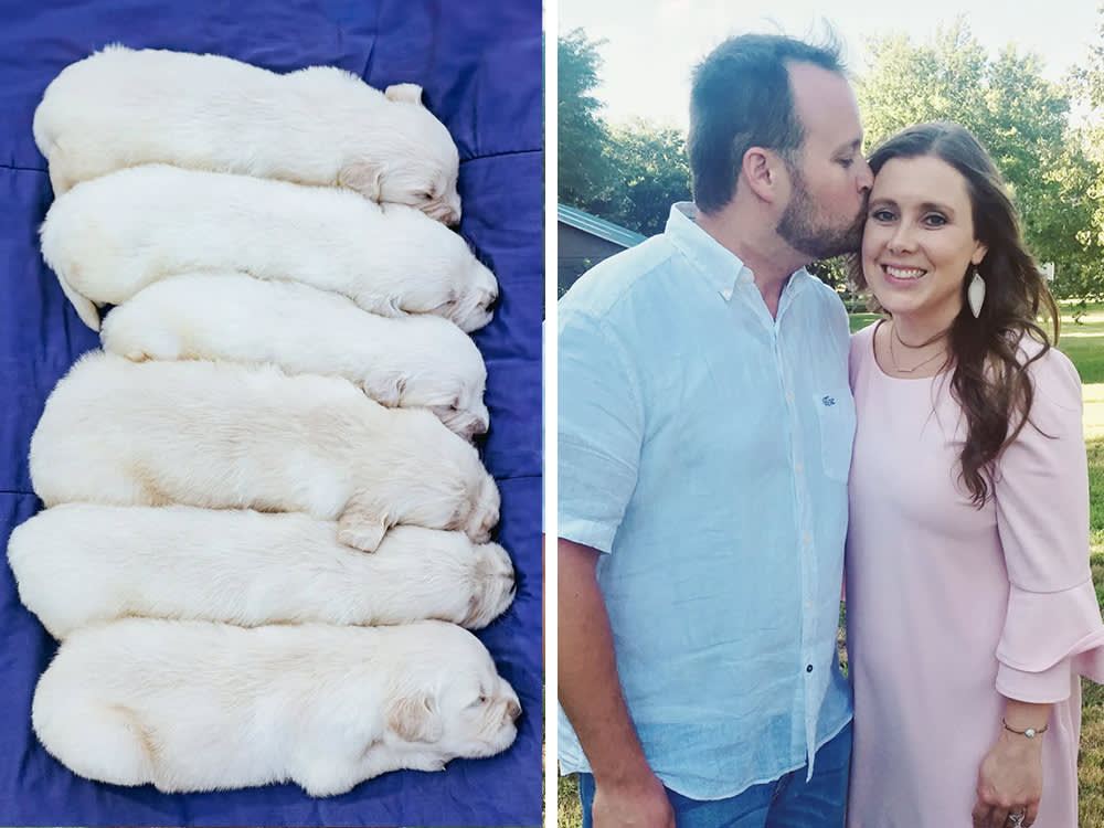 Josh Duggar’s Wife Anna Sparks Backlash After Launching ‘Insane’ Dog-Breeding Business at $1 Million Arkansas Home.