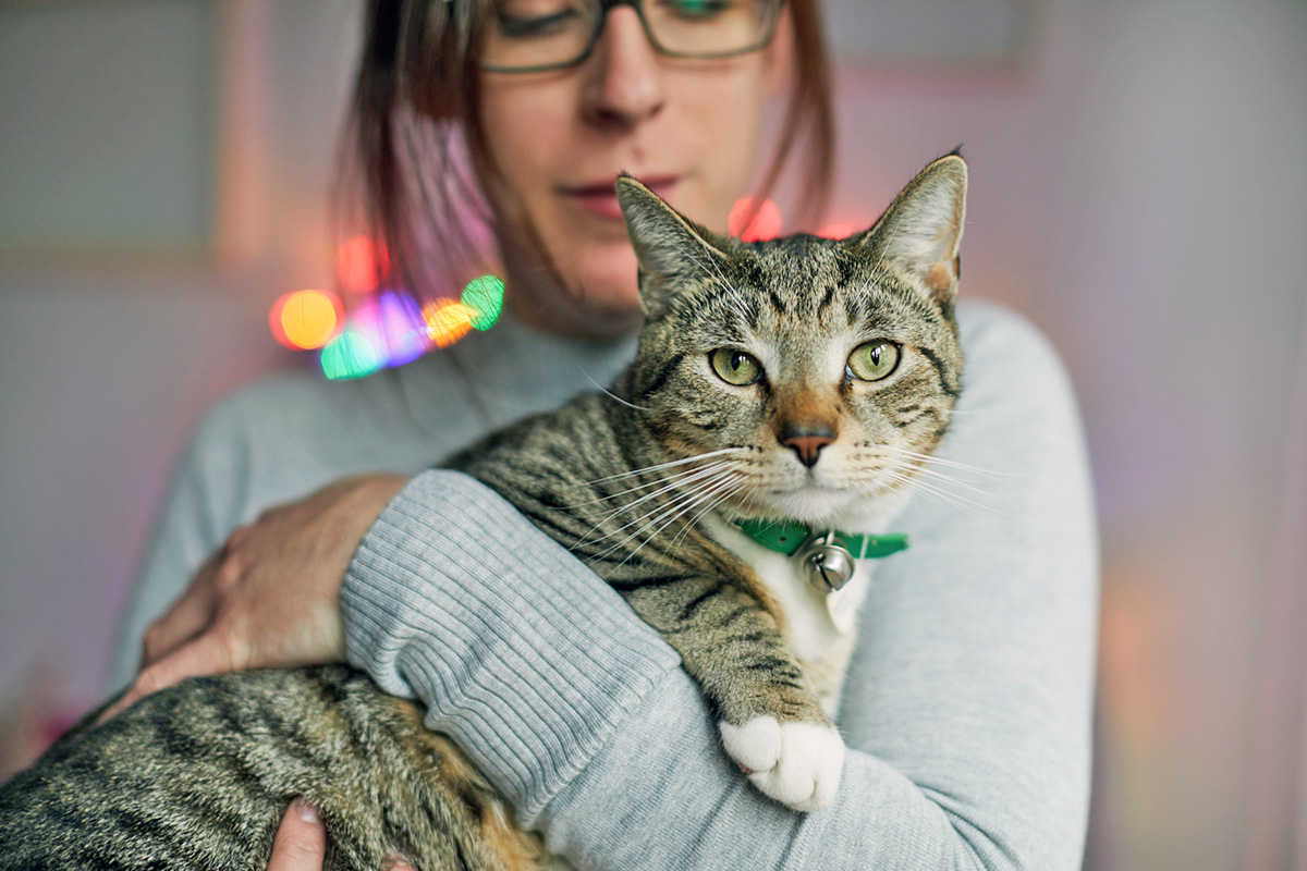 Person holding a cat