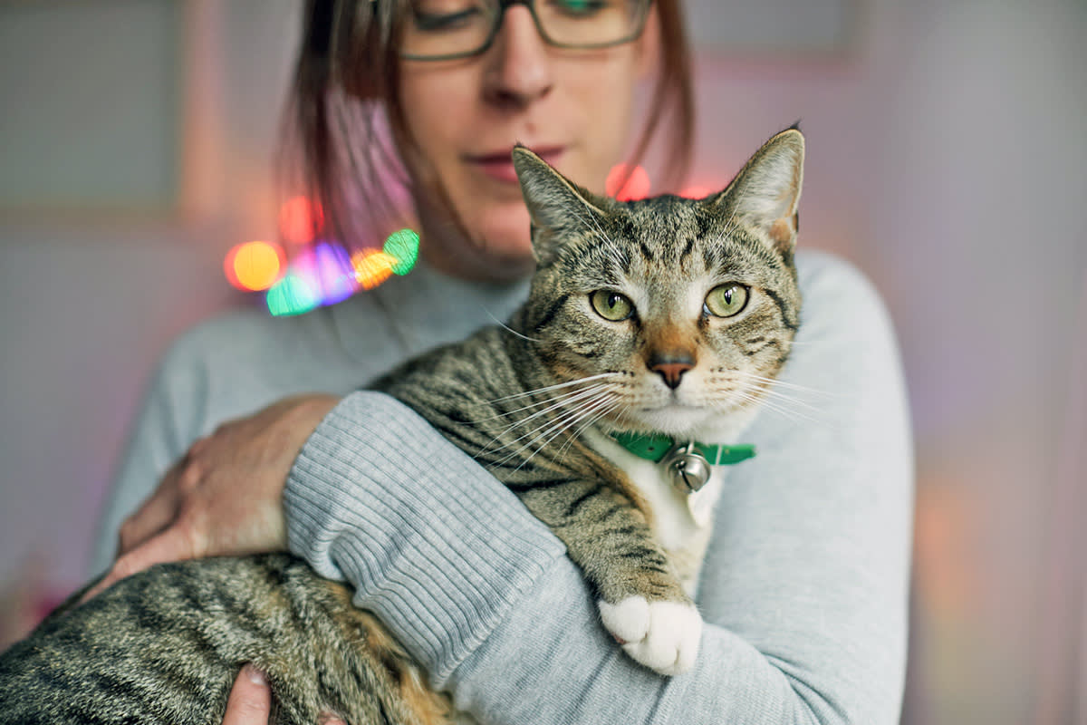 Person holding a cat