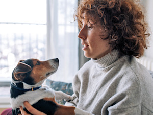 Woman talking to her Jack Russell Terrier dog.