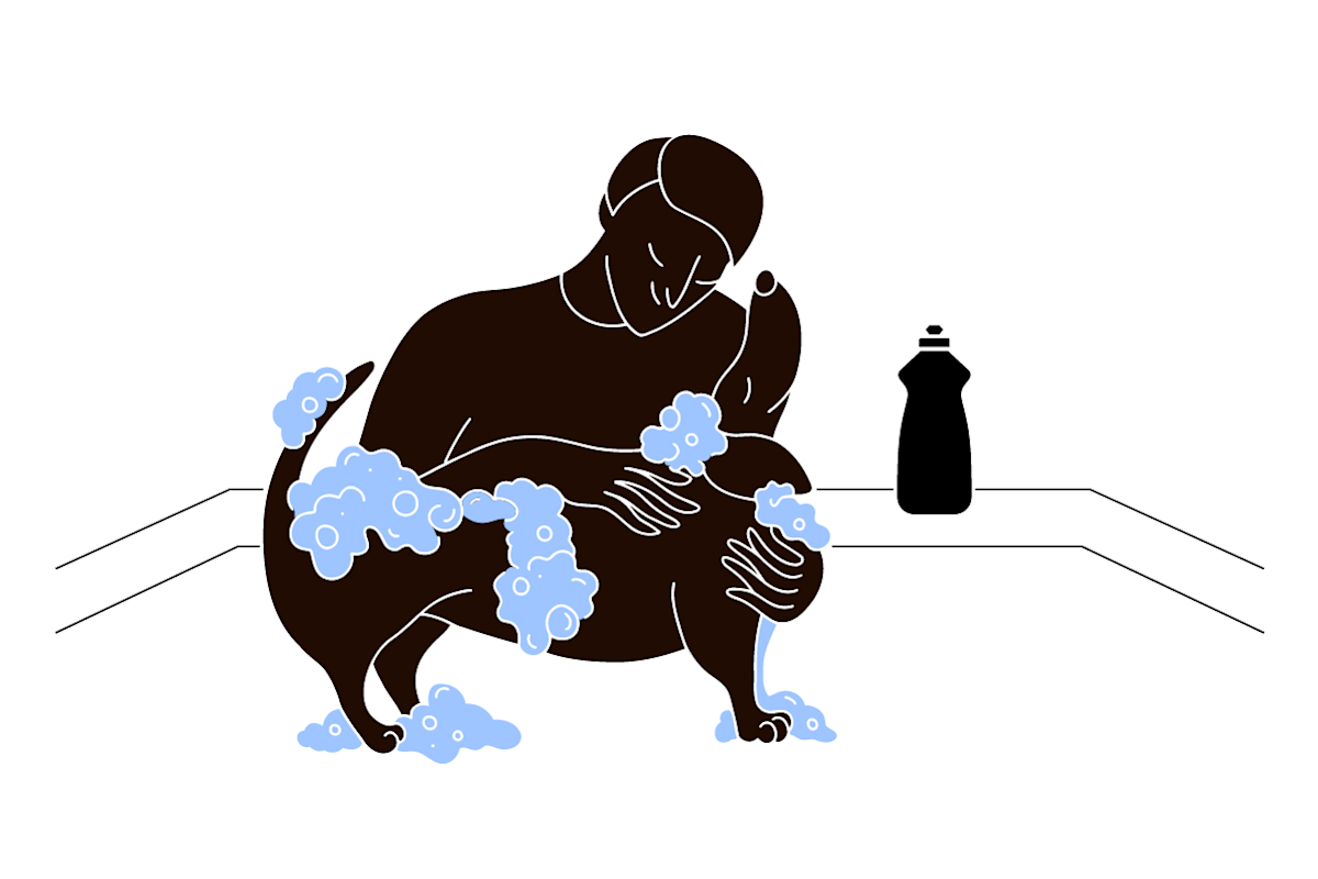 pet parent giving their dog a bath with soap