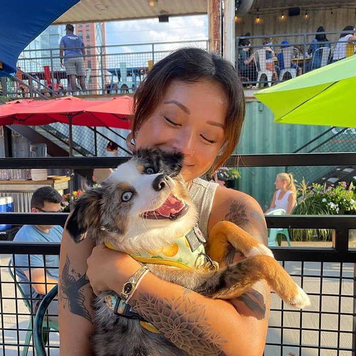 dog outdoors at Chicago in Recess