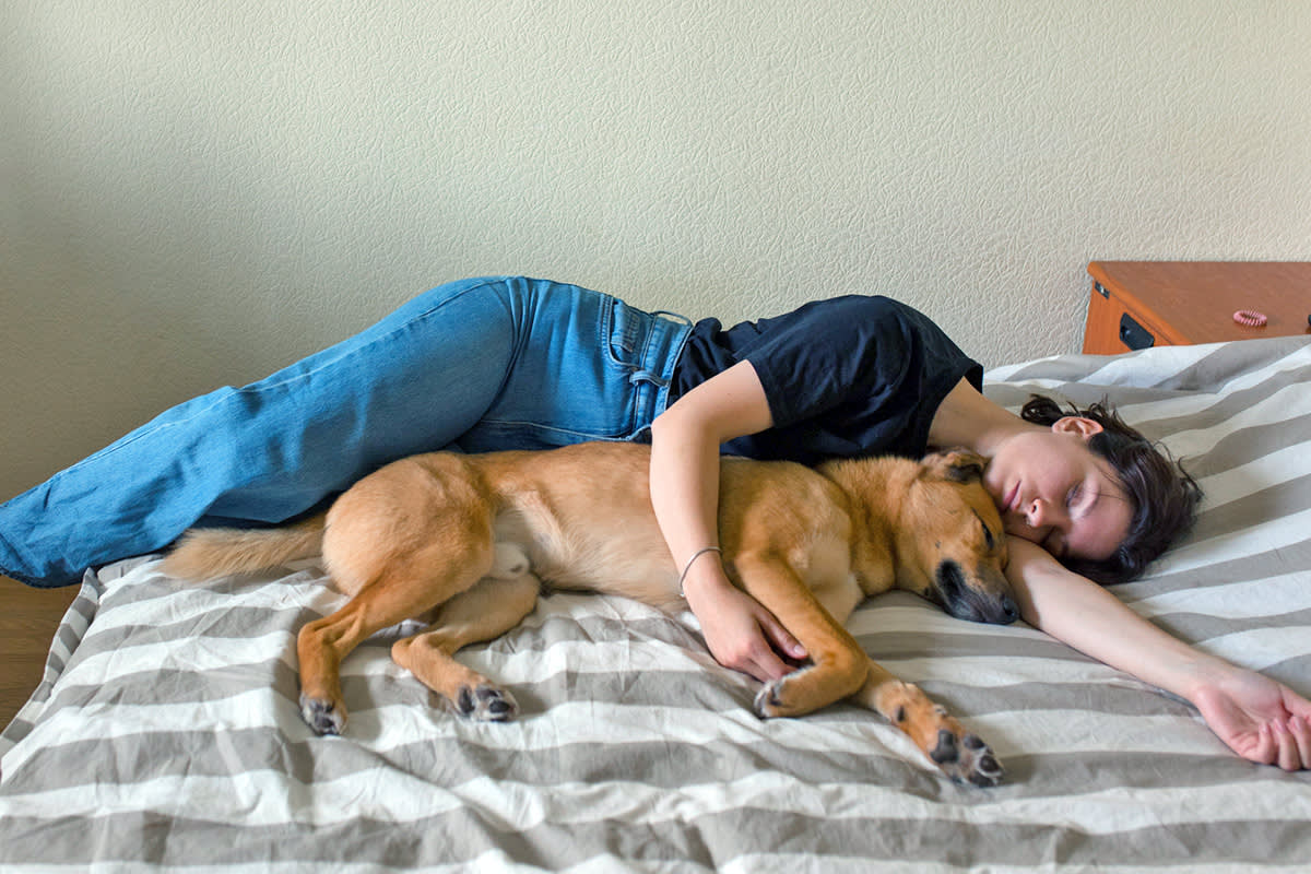 Person sleeping with dog in bed