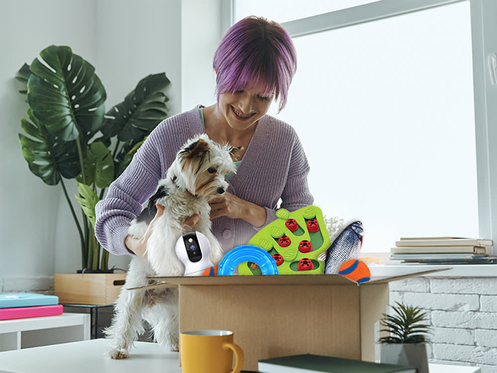 amazon prime day pet deals october 2023