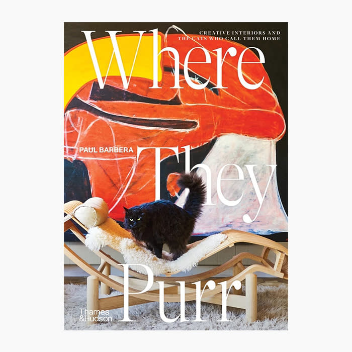 where they purr cat book