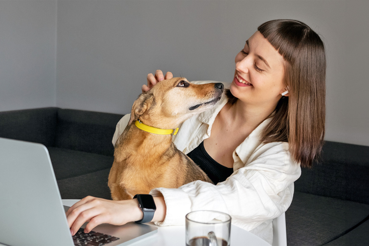 Dog looking at a person
