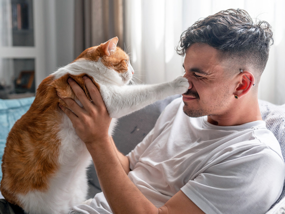 Les chats miaulent plus fort chez les hommes (et franchement, nous ne leur en voulons pas), selon une nouvelle étude · Parenté