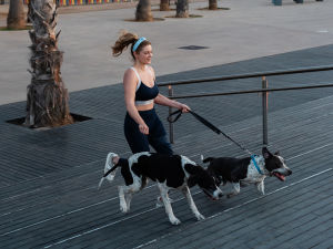 Woman in athletic clothing jogging up stairs in a tropical city with her two dogs on leashes running with her