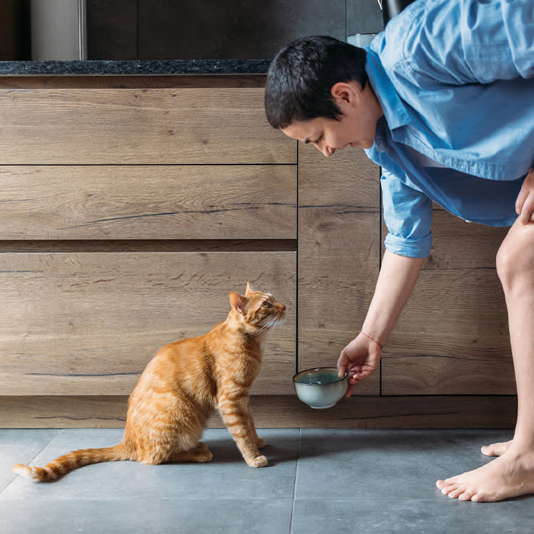 Person with short hair putting water bowl on floor for cat