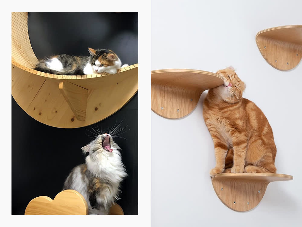  cats on wood wall furniture