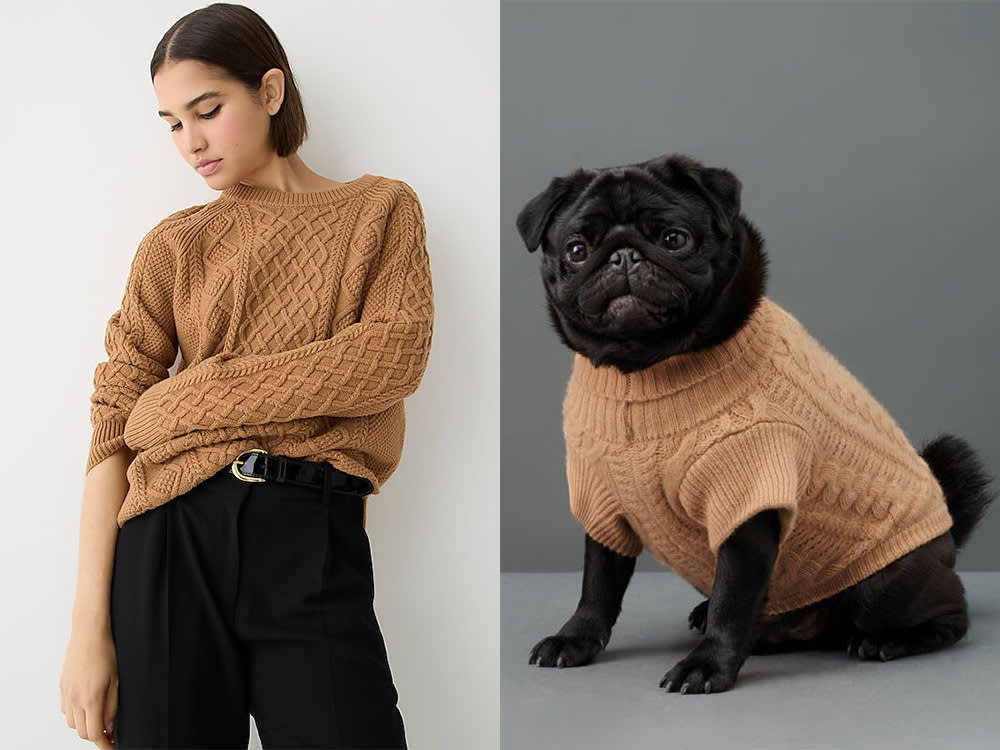 a small black dog in a tan sweater, a woman in a tan sweater 