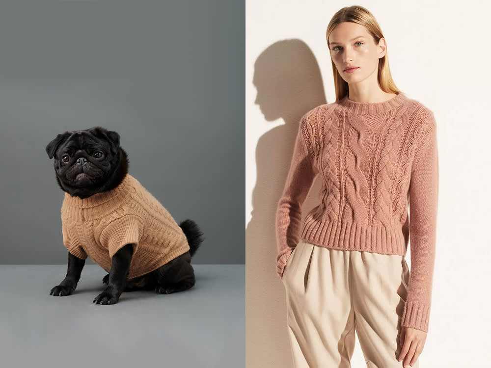 a small black dog in a tan sweater, a woman in a pink sweater 