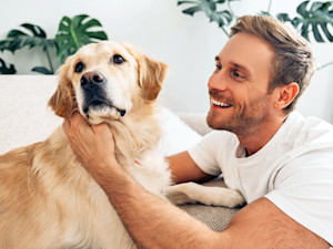 Man trying to pet dog at home.