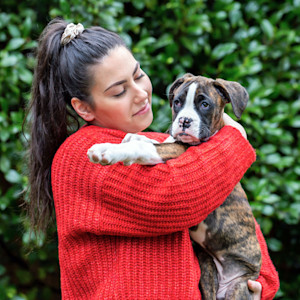 Woman cuddling her Boxer puppy outside.
