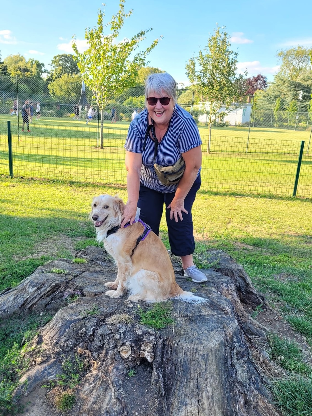 a picture of an older lady with a fluffy golden dog sitting on a tree stump