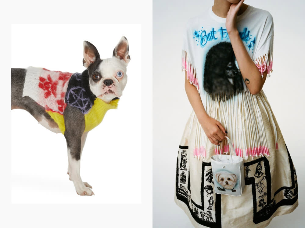 ashley williams dog dress and dog sweater