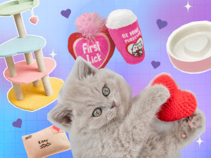 a collage: a cat with a stuffed heart, a heart bowl, catnip toys, and a heart shaped scratcher