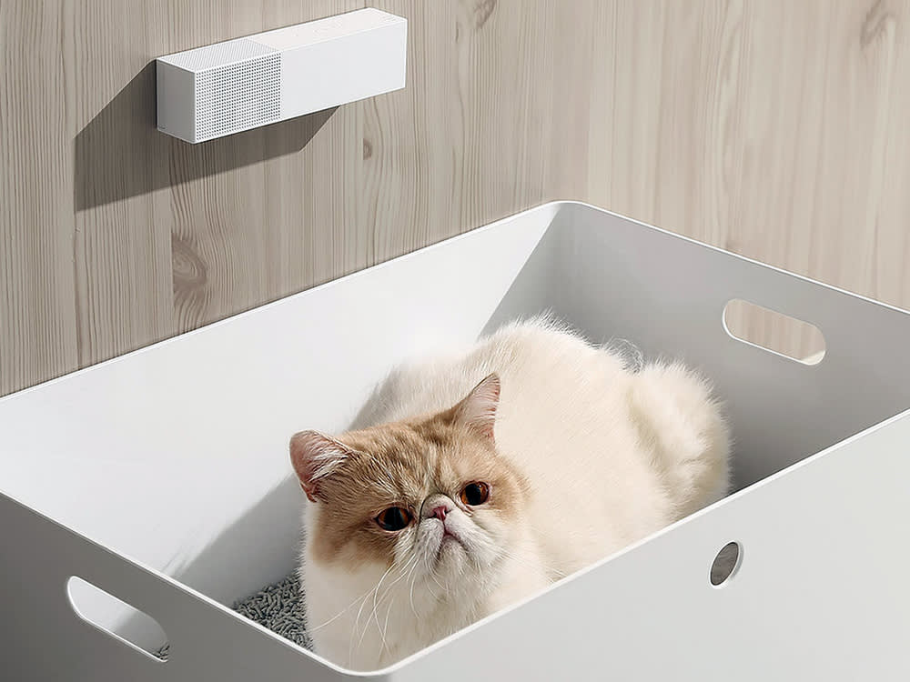 The Petkit Pura Air is Keeping My Home Free of Litter Box Odor