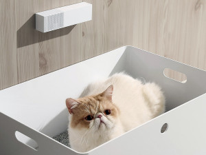 A tan and white at in a white litter box placed beneath a white, rectangular Petkit Air Purifier affixed to the wall