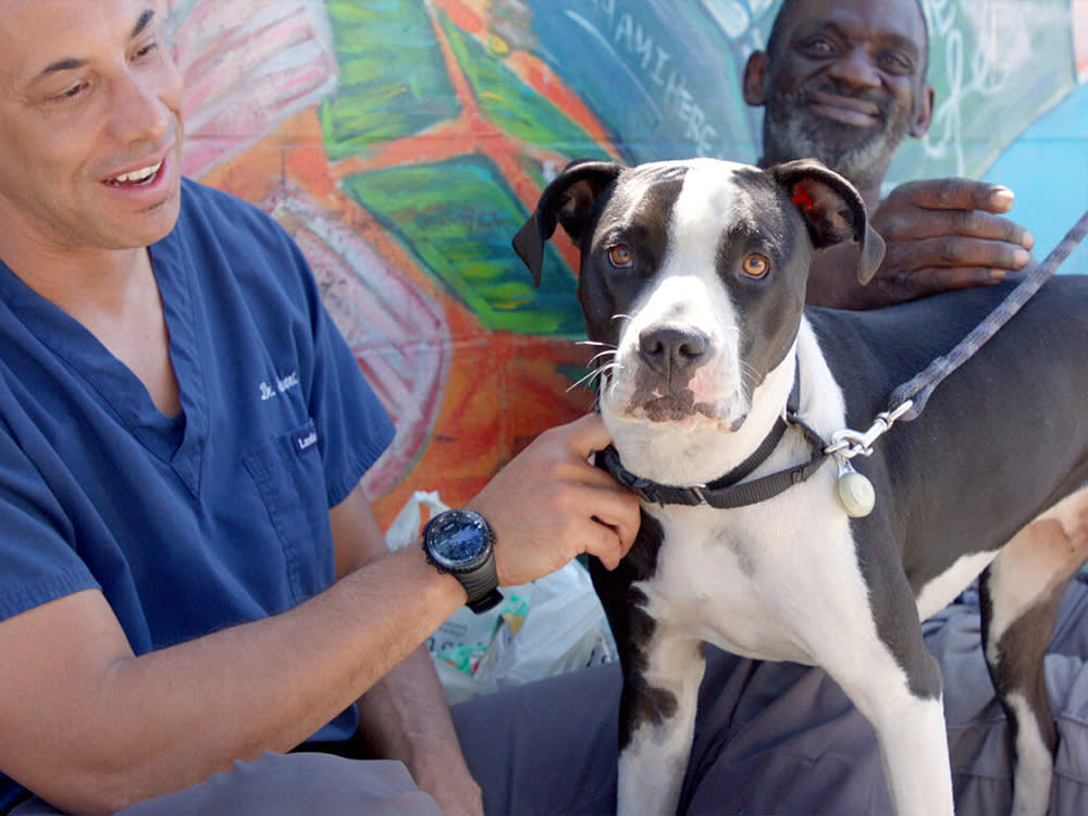 Nearly 1/3 of the US homeless population lives in California. This  veterinarian cares for the pets
