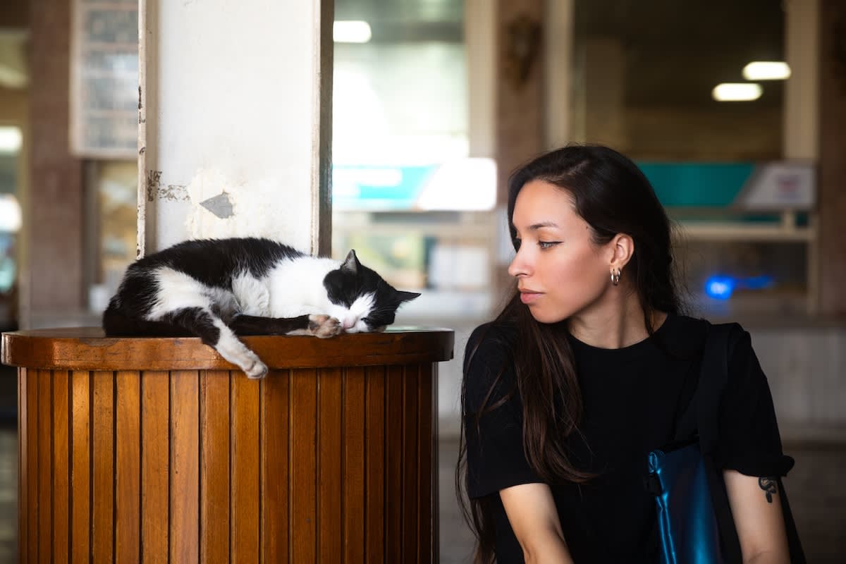 a picture of a dark haired young woman looking at a sleeping black and white cat