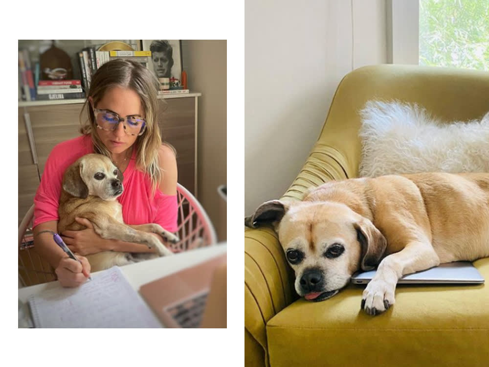 left: Kathryn Budig with her dog. right: Kathryn Budig's dog on a yellow chair 